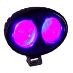 ECO Red Light